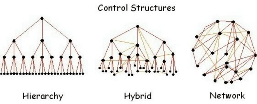 Hierarchy vs network